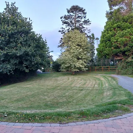 Forest Haven Newcastle Villa Newcastle  Exterior photo
