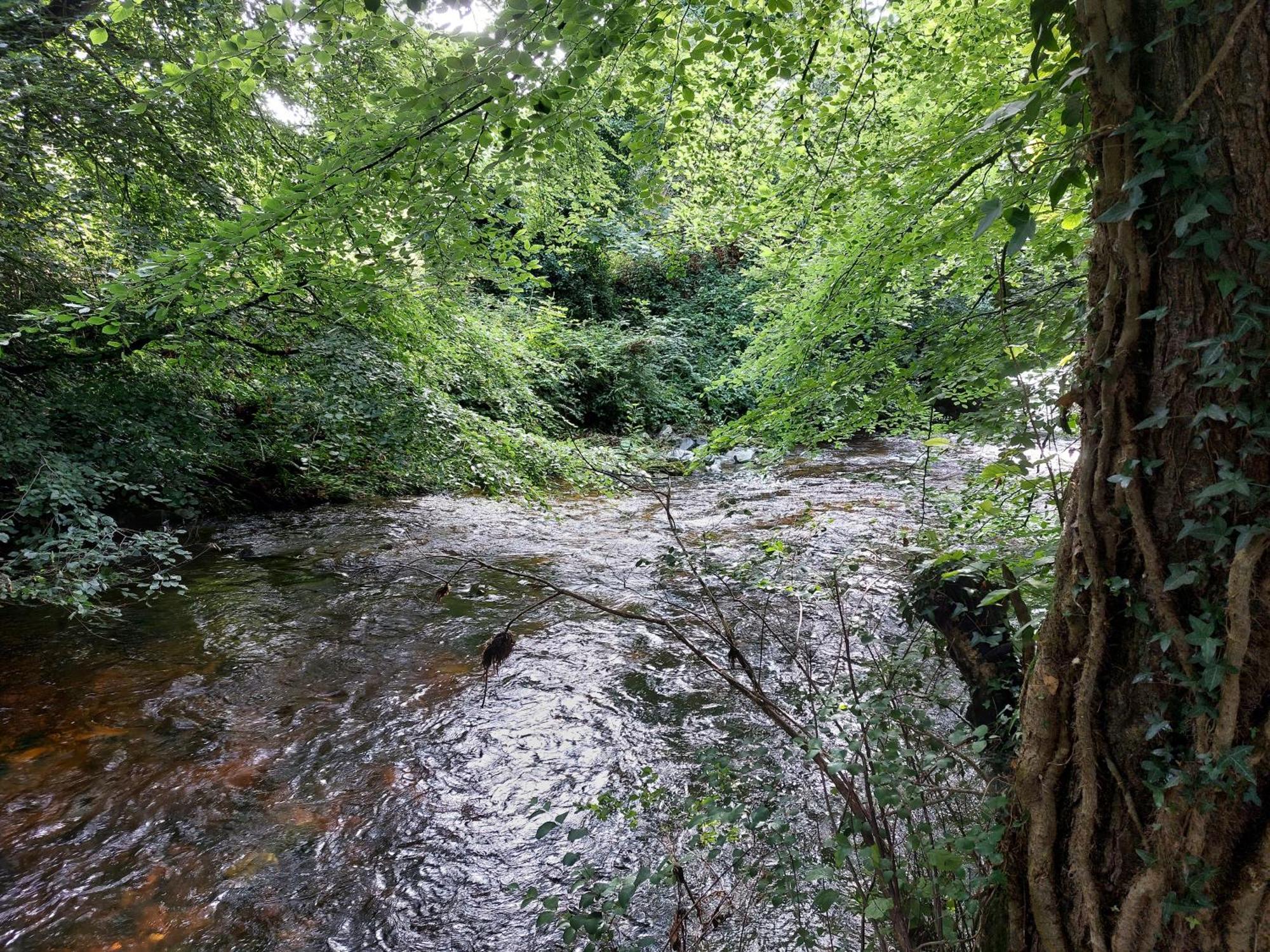 Forest Haven Newcastle